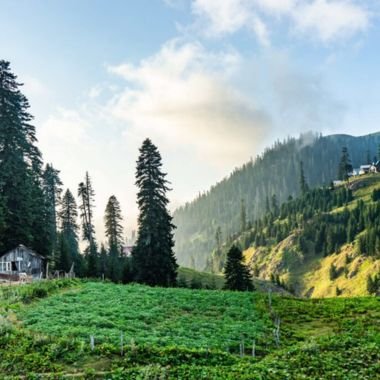 Nathia Gali Family Tour